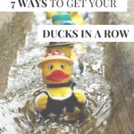 Ducks in a Row Pin 3